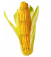 Sweet Corn F1 Sparkle 1 Kg